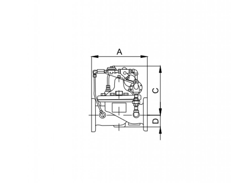 Globe type pressure relief valve U06-250 (ULC)